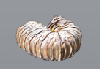 1691817644743.png 1691817644743.png