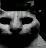 341162003_1367453864042381_6652468664487731636_n.jpg
