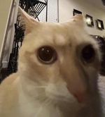 1693412522460.png