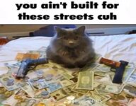 vwQ9WN2.jpg vwQ9WN2.jpg