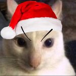 8D7DDC3A-7A48-4354-9929-A998ED2F8BE2.jpeg