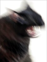 276997557_4940837319359880_1579824778042984124_n.jpg 276997557_4940837319359880_1579824778042984124_n.jpg