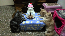 image_2023-09-15_090754278.png