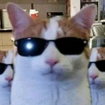 1694901122004.png