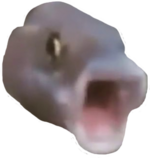 2557-pogfish-remastered.png