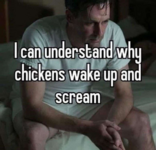 1696179886201.png