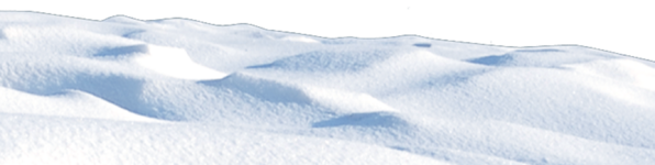 pngwing.com.png pngwing.com.png