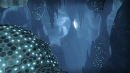 Antlion extract chamber.png