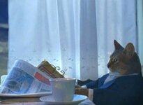 sophiscated_cat.jpg