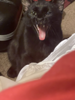 1698004104334.png 1698004104334.png