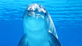 1704724854399.png 1704724854399.png