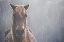 GEqZpjEXcAAmYLh.jpg