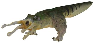 1920px-Bullsquid_green.jpg 1920px-Bullsquid_green.jpg