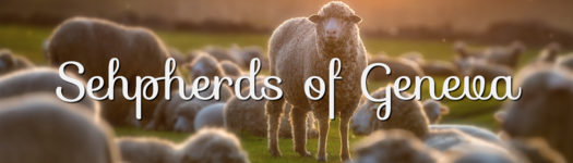 shepherds_banner.png