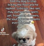 IMG_2435.jpeg