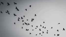 1713463332021.png