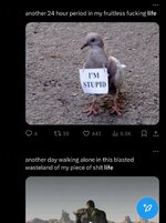 IMG_3484.jpeg