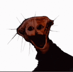 doctor-nowhere-the-boiled-one.gif doctor-nowhere-the-boiled-one.gif