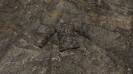 1715036930109.png 1715036930109.png