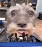 1715285139174.png