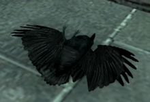 CROW.png