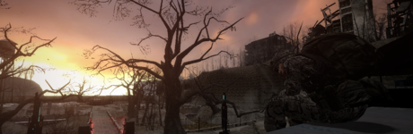 CReynoldsPhoto1.png