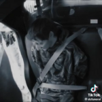 videoframe_30566.png