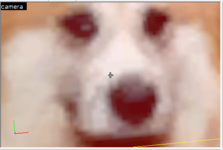 da dog in hammer.png