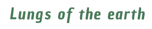 lungs of the earth.png lungs of the earth.png