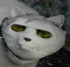 1723735079015.png 1723735079015.png