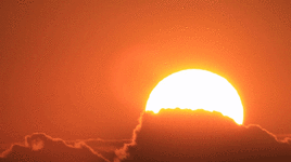 930f22d2e9a376232cc5d42bc5b4cc90.gif 930f22d2e9a376232cc5d42bc5b4cc90.gif
