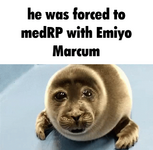 1729114596772.png