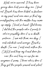 exerpt 7.png