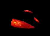 1729640087805.png 1729640087805.png