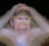 1730520827996.png 1730520827996.png