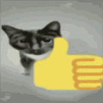 cat-thumbs-up-middle-finger-cat.gif