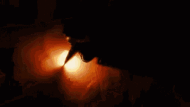 1737708326065.gif