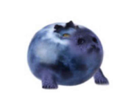 1738267507986.png