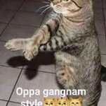 IMG_20221021_192903_235.jpeg