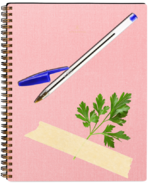 Diary.png Diary.png