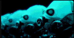 combine stuff 2.gif