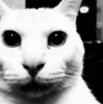 1740108198466.png 1740108198466.png