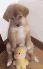 1740273376807.png