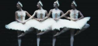 Swan Lake.png Swan Lake.png