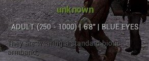 20250322225626_1.jpg