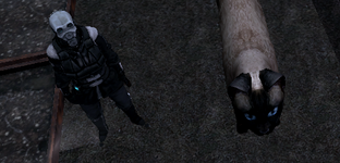 cat.png cat.png