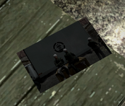 Malik Johnson V.E.T Photo.png