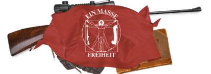 MASS1 (1).png