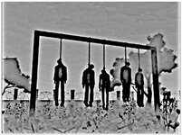 photgraph 2.jpeg photgraph 2.jpeg