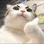 7f34dbdbc0d5202c777770669cc4ef73.jpg